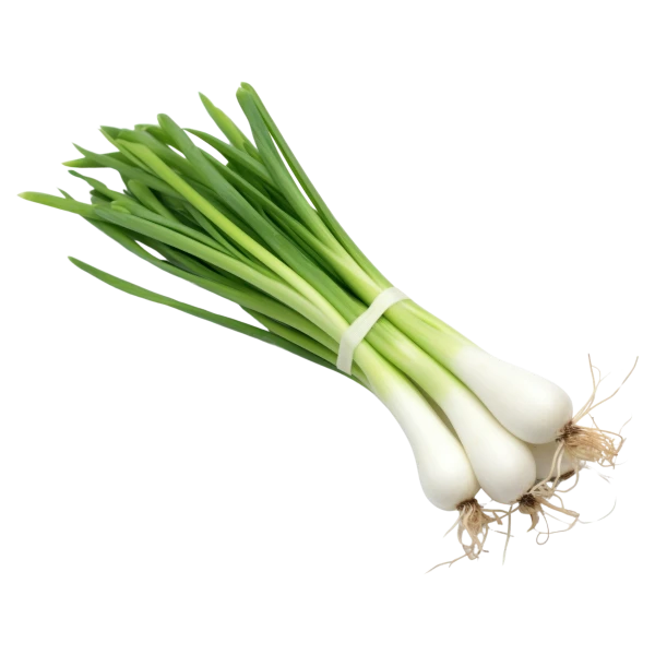 Products - Indian Grocery Deals - GROSCO